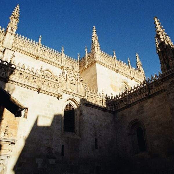 Photo Mountain backdrop