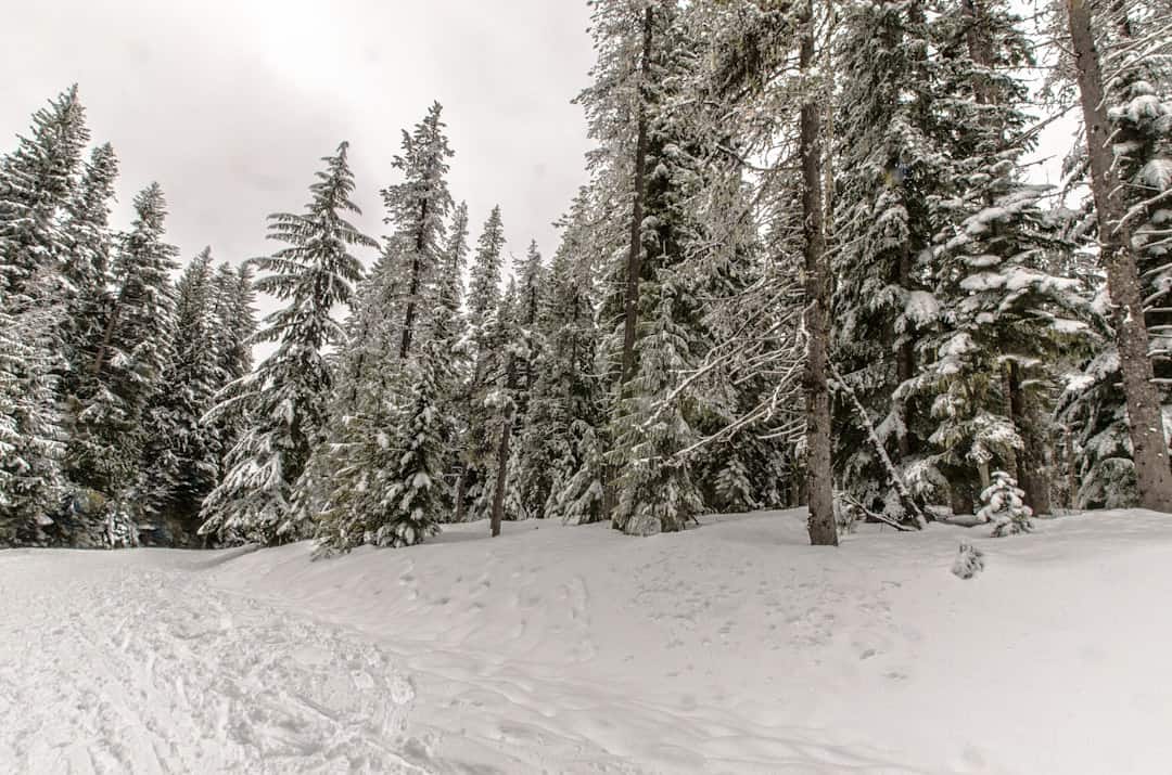 Traumhochzeit in Antarktika – Heiraten im Ausland