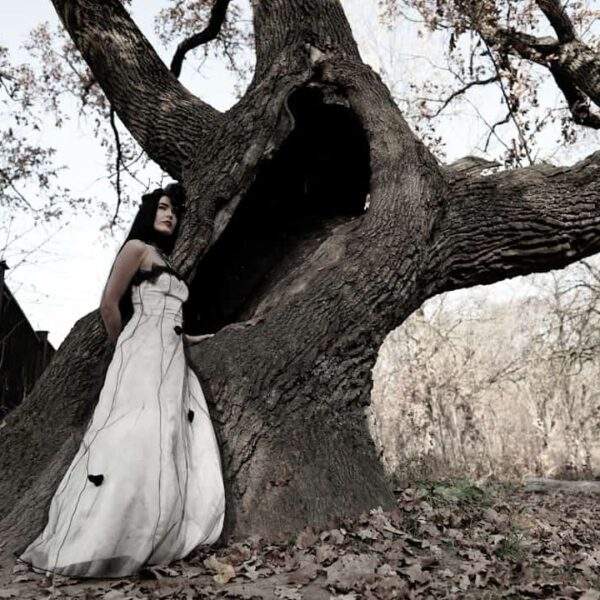 Photo Elegant wedding dress