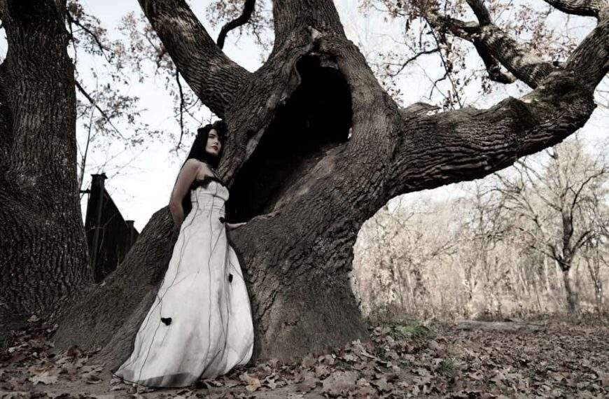 Photo Elegant wedding dress