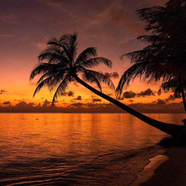 Photo Tropical beach