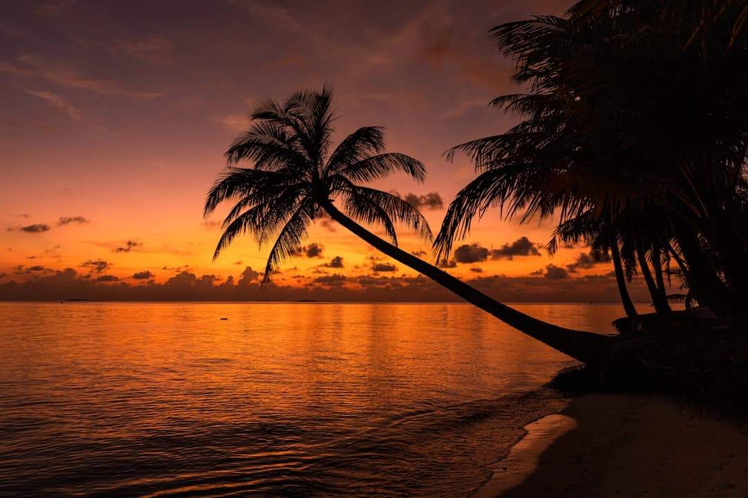 Traumhochzeit in Wallis und Futuna – Heiraten im Ausland