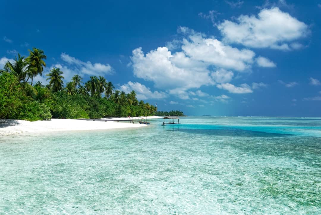 Traumhochzeit in Vanuatu – Tipps für Heiraten im Ausland