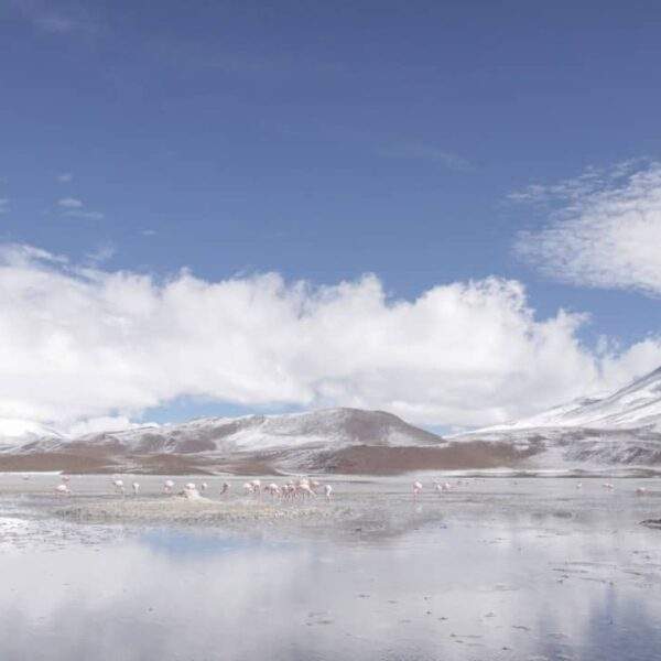Photo Bolivian landscape