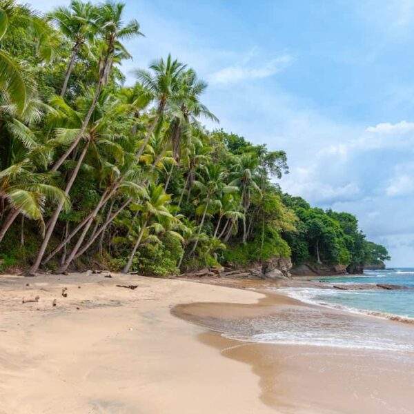 Photo Tropical beach