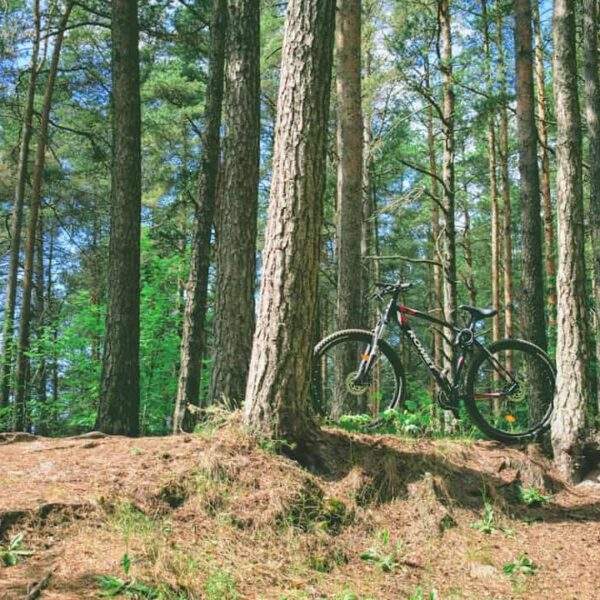 Photo Estonian countryside