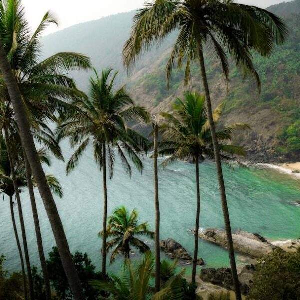 Photo Tropical beach