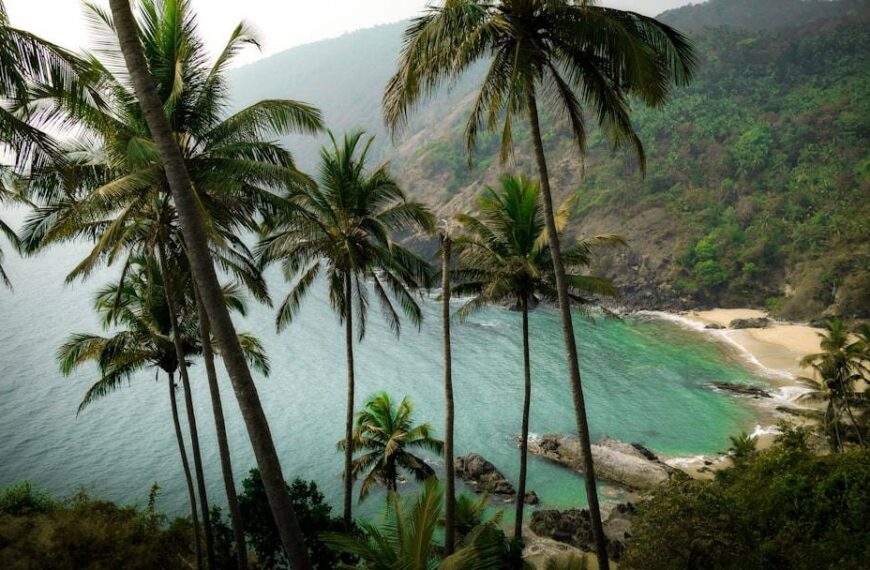 Photo Tropical beach