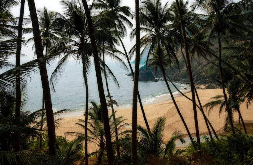 Photo Tropical beach
