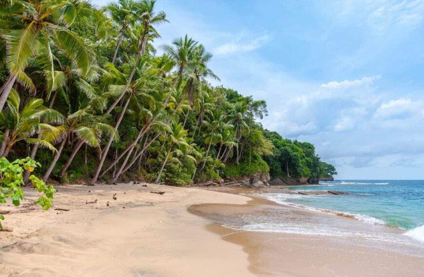 Photo Tropical beach