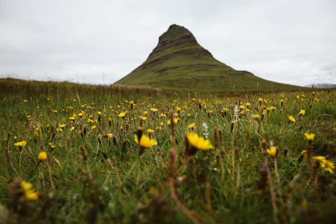 Photo Icelandic landscape