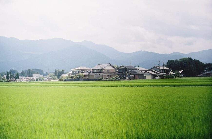 Photo Mountain backdrop