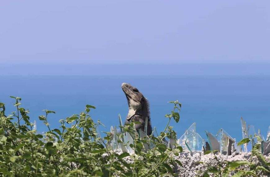 Photo Exotic destination