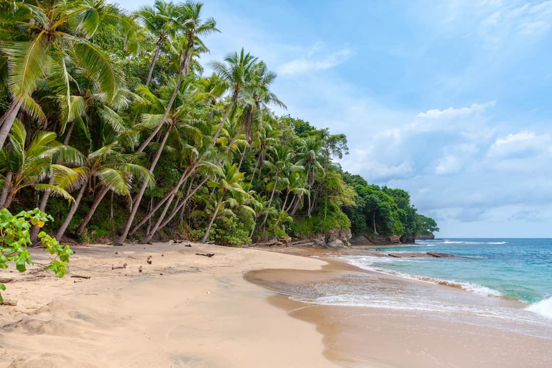 Photo Tropical beach