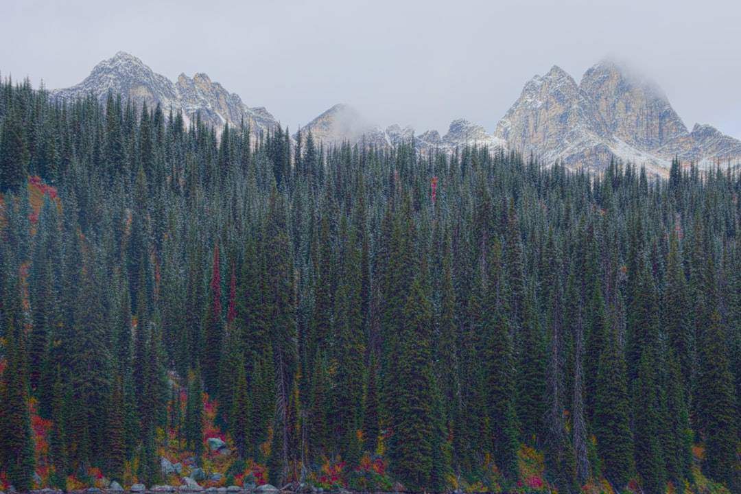 Photo Alpine scenery