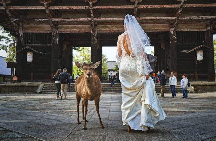 Photo Wedding dress