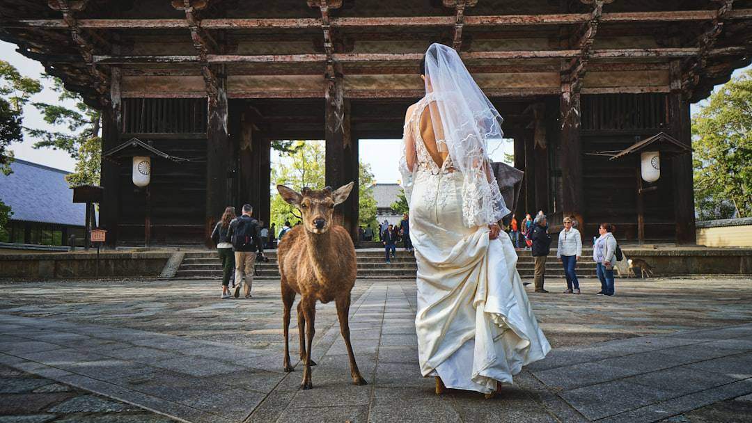 Photo Wedding dress
