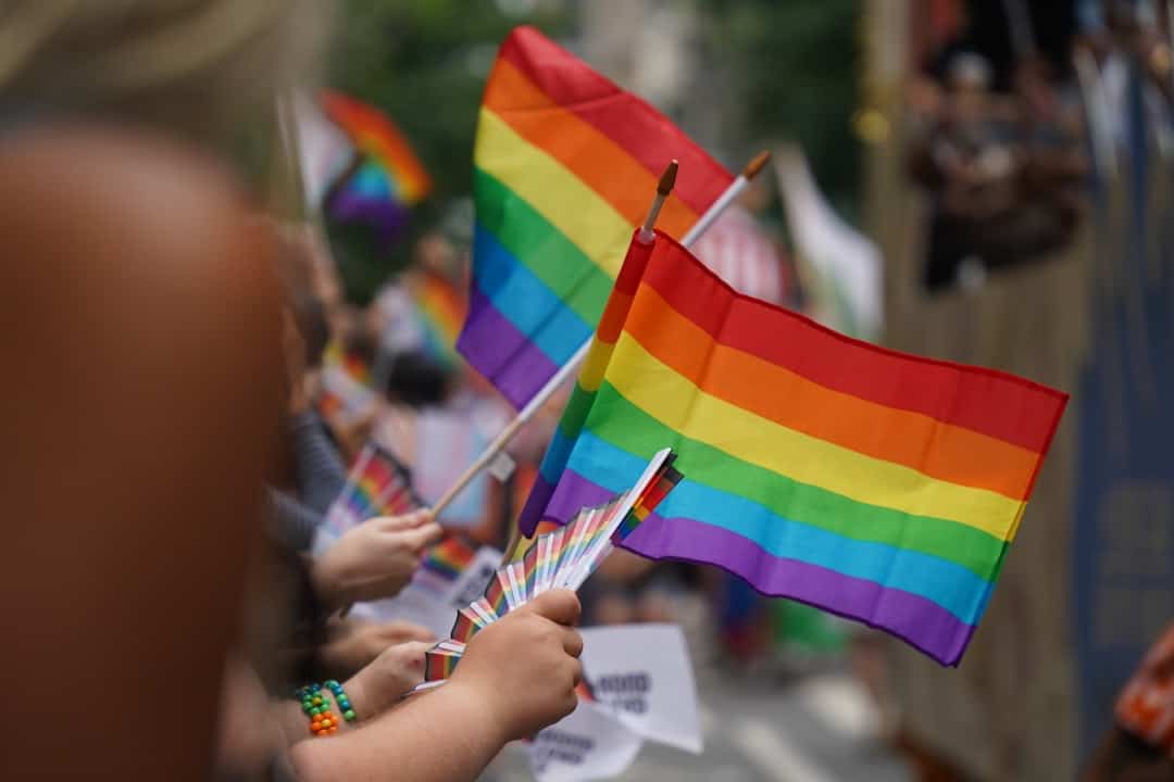 Die rechtliche Anerkennung gleichgeschlechtlicher Beziehungen