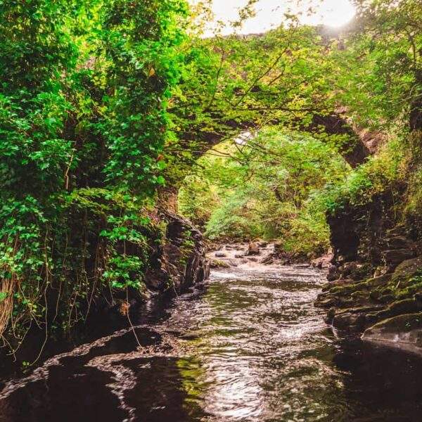 Photo River flow