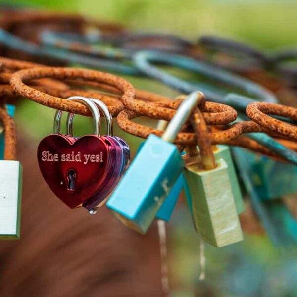 Photo "Commitment"