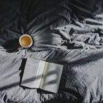 Photo Nozicks book