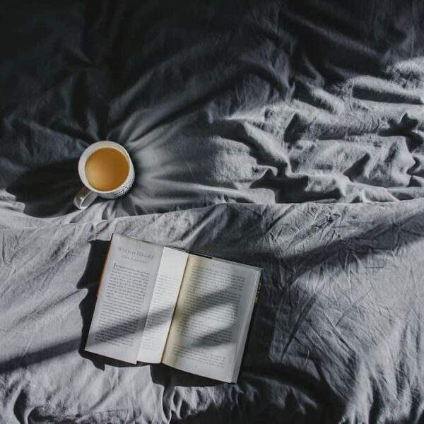 Photo Nozicks book