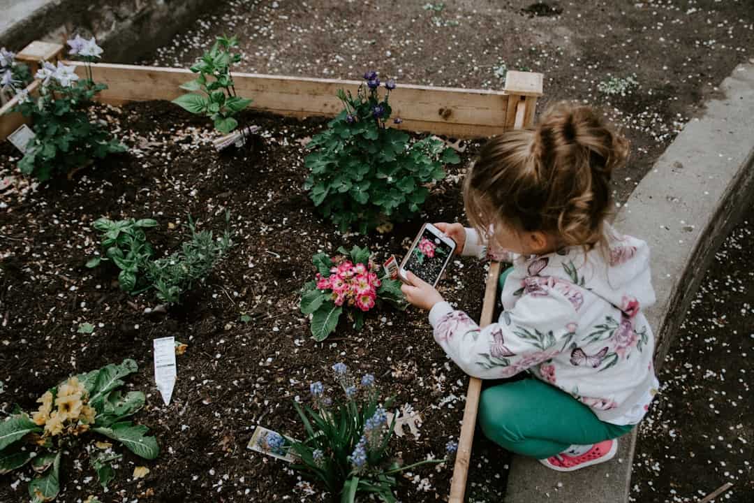 Eine formale Anleitung zur Gartenverlobung