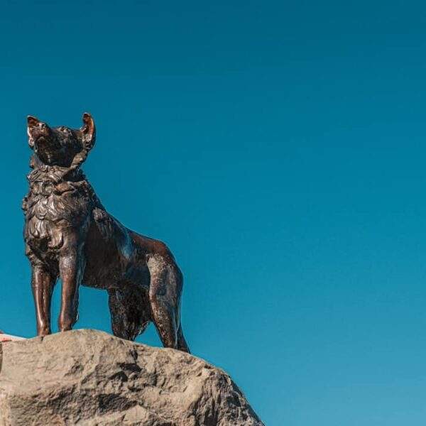 Photo Epicurus: Loyalty