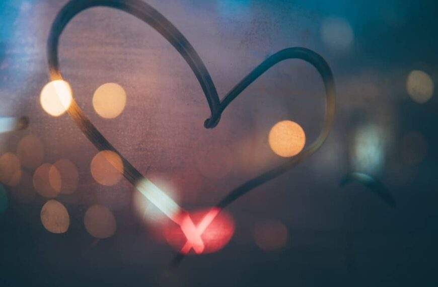 Photo Noam Chomsky: Love