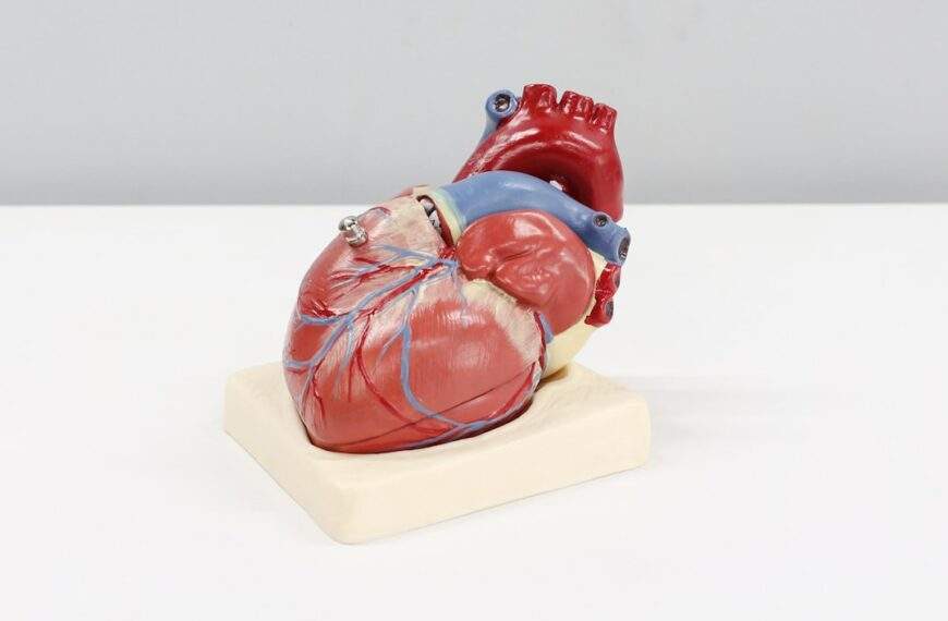 Photo Heart-shaped diagram