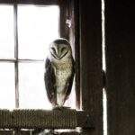 Photo Epicurus: Wisdom