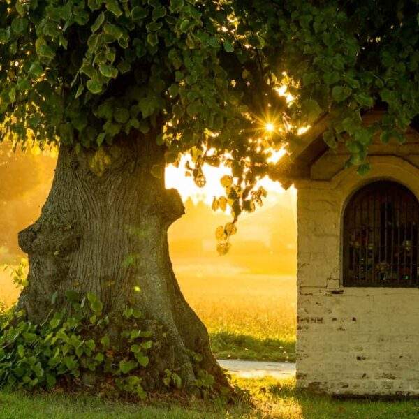 Photo Ancient manuscript