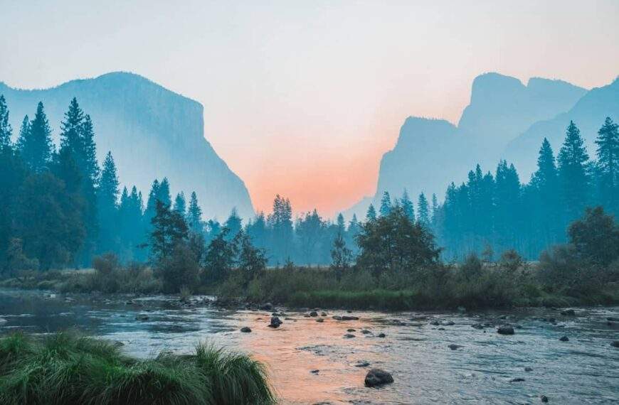 Photo Rousseau: Nature