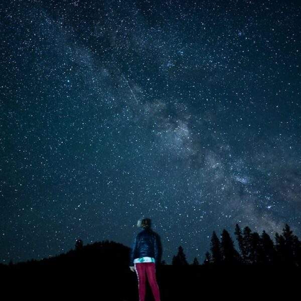 Photo Thoughtful contemplation