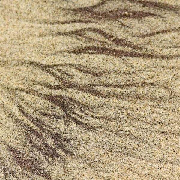 Photo Julia Kristeva - Eifersucht