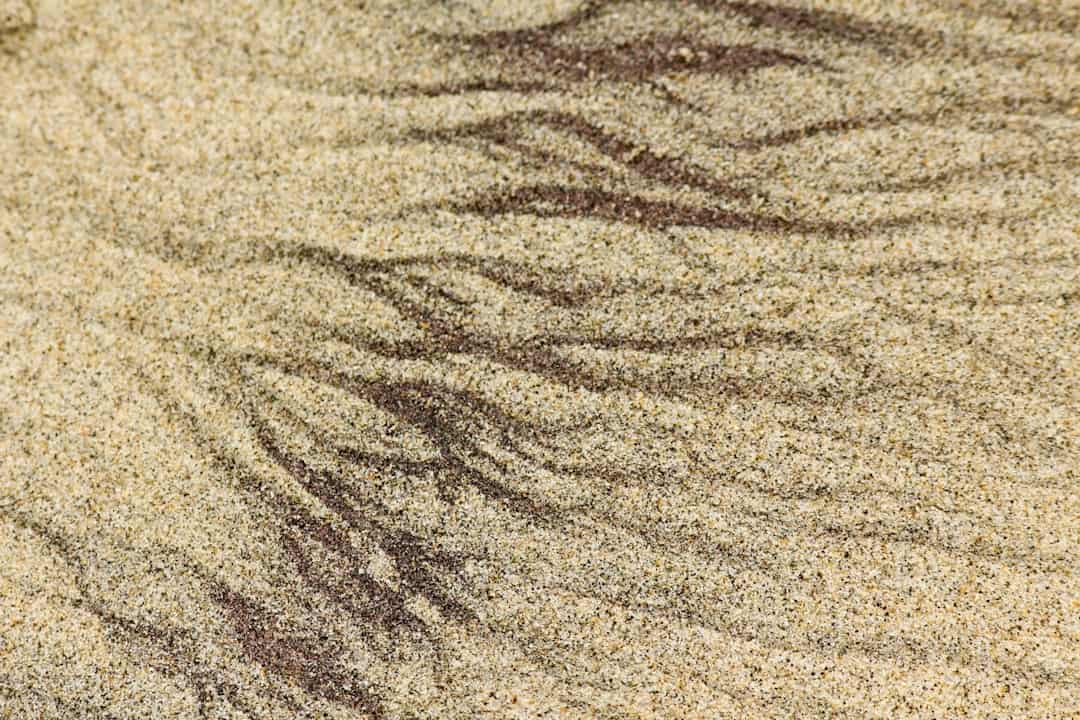 Photo Julia Kristeva - Eifersucht