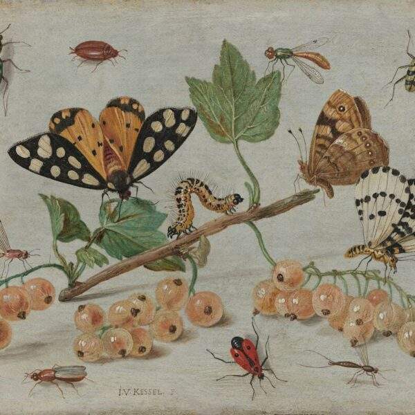 Photo Renaissance painting