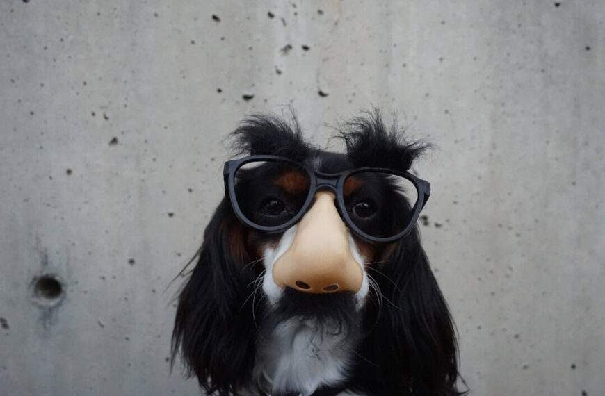 Photo Funny greeting card