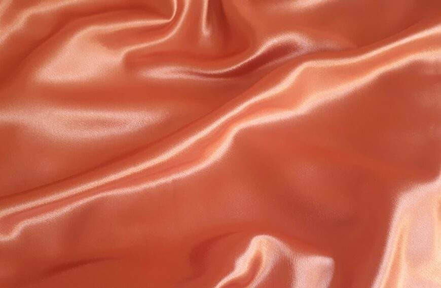 Photo Velvet roses