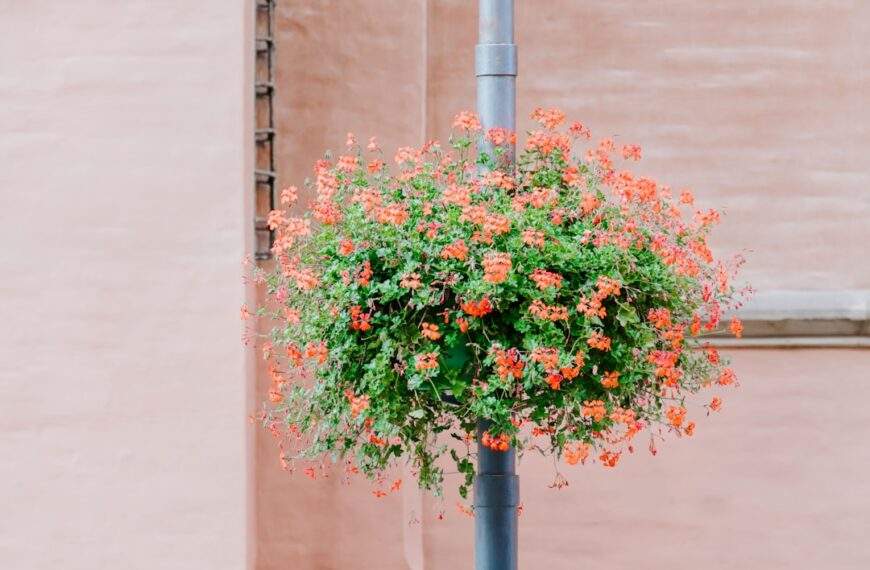 Photo Parsley bouquet