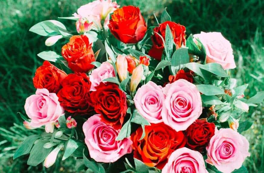 Photo Rose bouquet