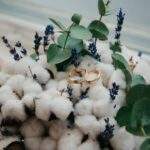 Photo Cotton bouquet