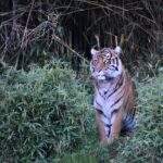 Photo Stoic philosopher