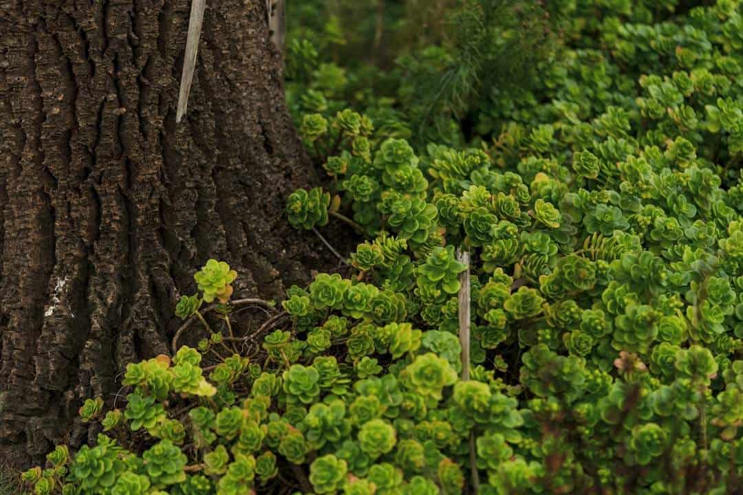 Photo Hegel: Passion