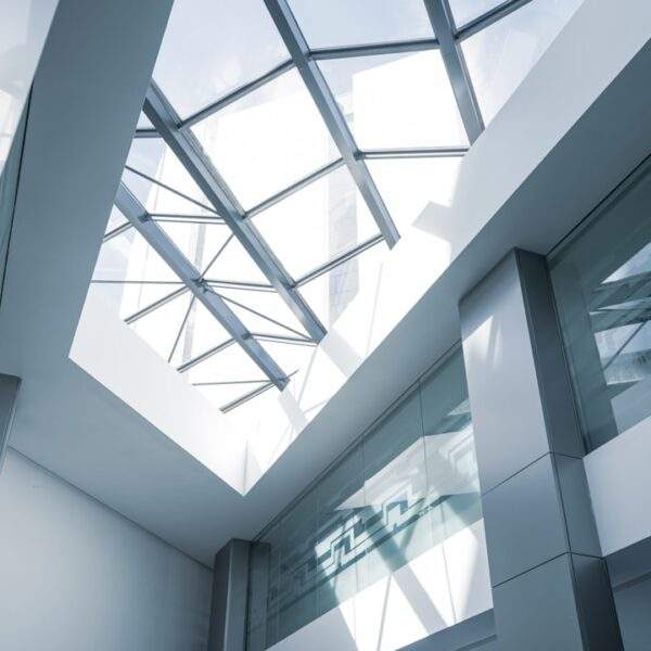 Photo Noam Chomsky: Passion and Desire