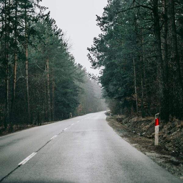 Photo Passion and Desire