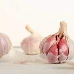 Photo Garlic bulbs