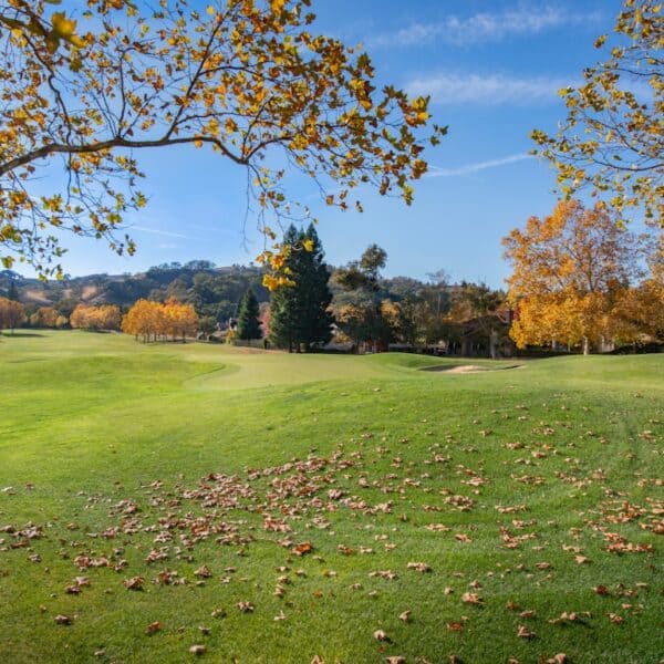 Photo small civil wedding planning