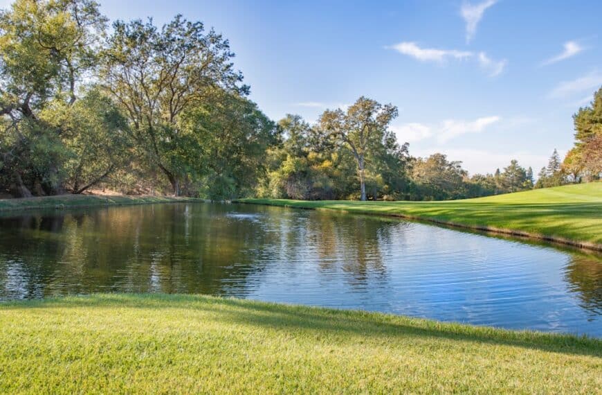 Photo wedding planner costs